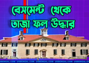 যুক্তরাষ্ট্রে বেসমেন্ট থেকে ২৫০ বছর পর তাজা ফল উদ্ধার!