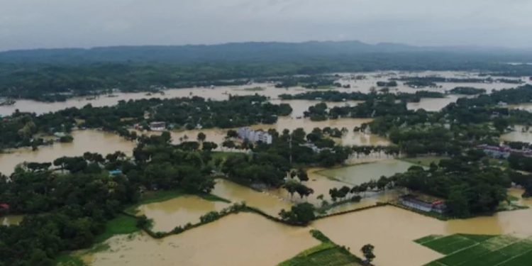 বাংলাদেশে বন্যার জন্য ভারত দায়ী নয়: দিল্লি