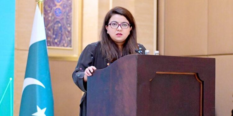 পাকিস্তানে ইন্টারনেট ধীরগতি, ভিপিএনকে দায়ী করলেন মন্ত্রী