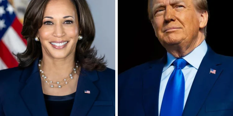 মার্কিন নির্বাচন ঘিরে ইরানি হ্যাকারদের তাণ্ডব