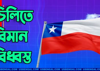 চিলিতে বিমান বিধ্বস্ত, পাইলটসহ নিহত ৮