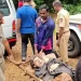 ভারতের জঙ্গলে শিকলে বাঁধা মার্কিন নারীকে ঘিরে রহস্য