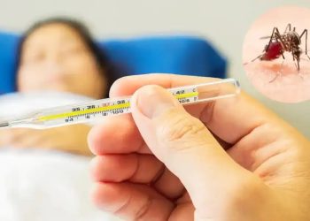 এই সময়ের ডেঙ্গু জ্বর কেন আলাদা