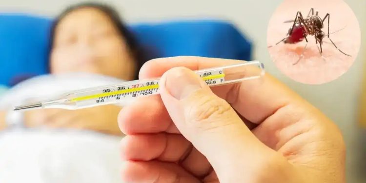 এই সময়ের ডেঙ্গু জ্বর কেন আলাদা