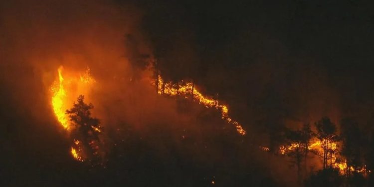 পেরুতে দাবানলে ১৮ জনের মৃত্যু