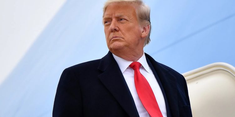 ‘আমরা বিড়াল-কুকুর খাই না’ ট্রাম্পকে জার্মানি