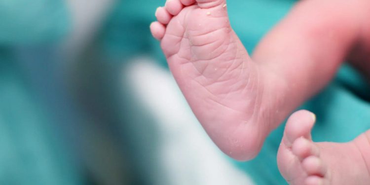 মৃত ঘোষণার পরও ‘জীবিত’ নবজাতক, বাঁচানো গেল না অবহেলায়