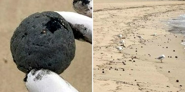 সিডনিতে ভেসে আসছে রহস্যময় বল