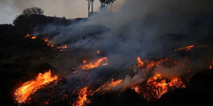 লস অ্যাঞ্জেলেসে দাবানল, সরানো হল ৩০ হাজার বাসিন্দাকে