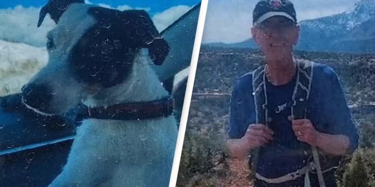 কুকুর মিলতেই উদ্ধার হলো মালিকের মৃতদেহ