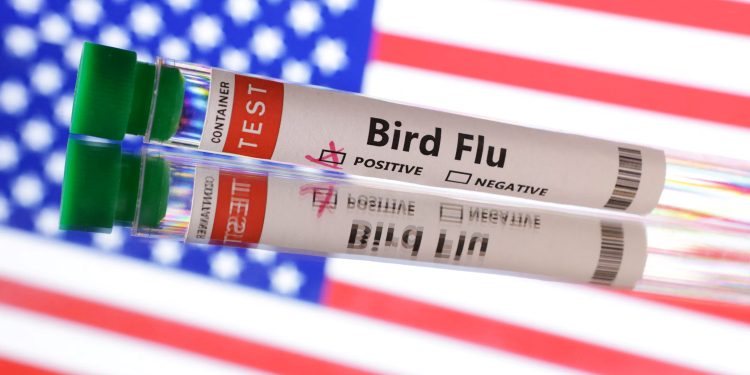 প্রথমবারের মতো যুক্তরাষ্ট্রে বার্ড ফ্লুতে আক্রান্ত রোগীর মৃত্যু