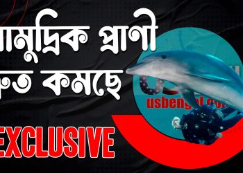 সামুদ্রিক প্রাণীর সংখ্যা দ্রুত কমছে, কারণ কী