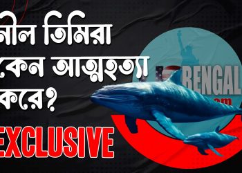নীল তিমিরা কেন আত্মহত্যা করে?