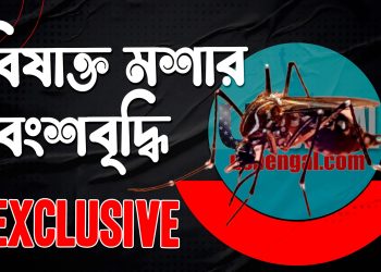 কেন বিজ্ঞানীরা বংশবৃদ্ধি করতে চান বিষাক্ত মশার