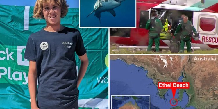 অস্ট্রেলিয়ায় হাঙরের কামড়ে কিশোরীর মৃত্যু