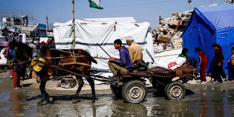 ফিলিস্তিনিদের আফ্রিকায় ‘পুনর্বাসন’ করতে চায় যুক্তরাষ্ট্র-ইসরাইল