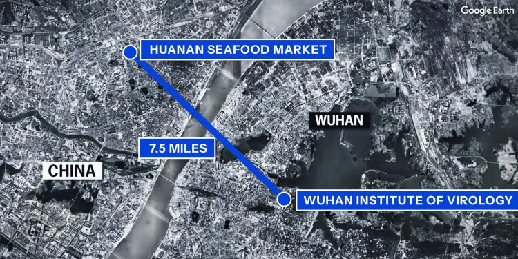 হোয়াইট হাউসের ওয়েবসাইট বলছে, চীন থেকে ছড়িয়েছে কোভিড