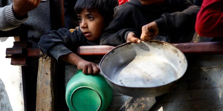 ক্ষুধার জ্বালায় কচ্ছপের মাংস খাচ্ছে গাজাবাসী