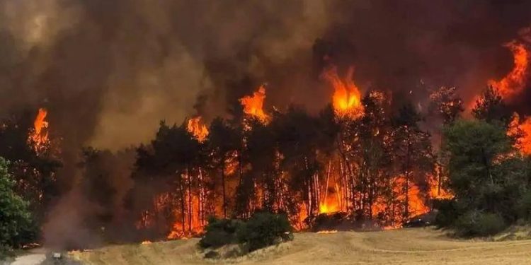 ইসরাইলে ‘জরুরি অবস্থা’ ঘোষণা