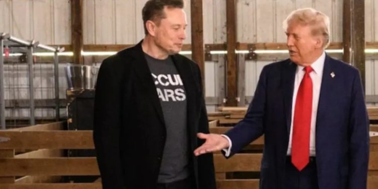 পিছু হটলেন ইলন মাস্ক, এবার ট্রাম্পের কাছে দুঃখপ্রকাশ