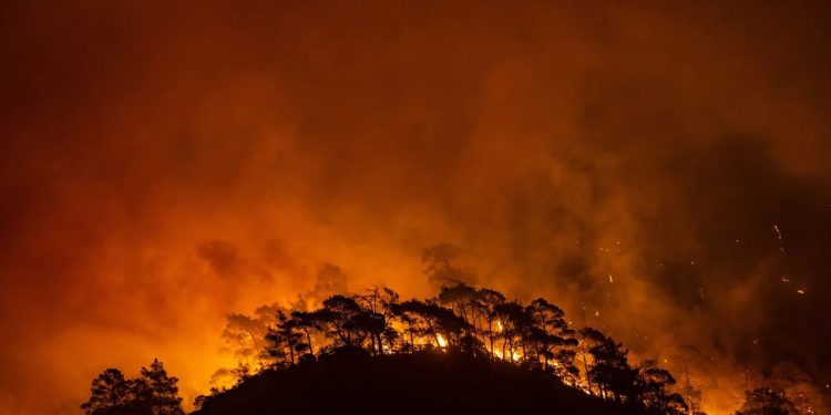 দাবানলে পুড়ছে তুরস্ক, খালি হচ্ছে গ্রাম