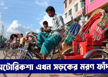 বাংলাদেশের সড়কগুলো এখন মরণ ফাঁদ! প্রধান কারণ ব্যাটারি চালিত অটোরিকশা।