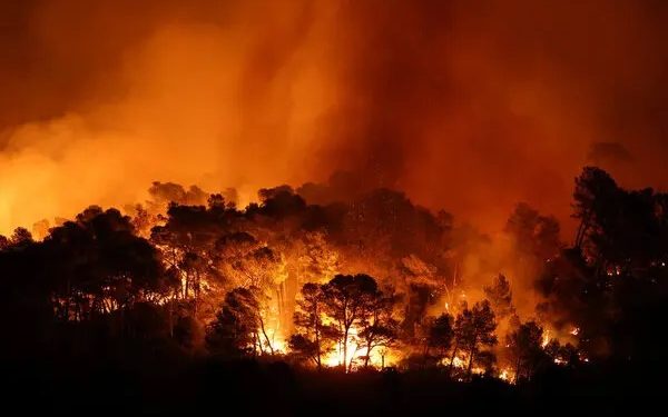 ফ্রান্সে ৭৫ বছরের মধ্যে সবচেয়ে বড় দাবানল, জ্বলছে প্যারিসের সমান অঞ্চল
