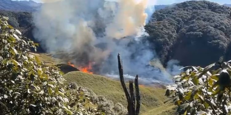 দাবানলে পুড়ছে নাগাল্যান্ডের জুকো উপত্যকা