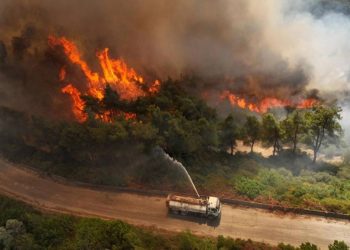 নিয়ন্ত্রণে আসছে না জাপানের দাবানল